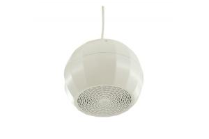 Loa thả trần công suất 10W SPON NAC-2401