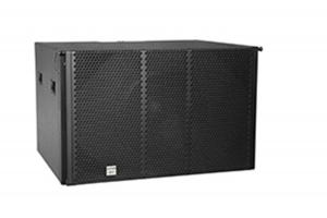 Loa line array Subwoofer 700W SPON SAP-L210SB